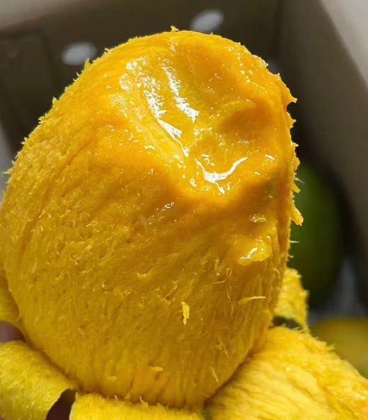 预定团9.9元2斤攀枝花凯特芒果（超重按4.95/斤补差价）7.29-30提货 商品图1