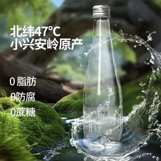 【BF】园有风桦树汁310ml*10瓶 礼盒装 商品图4