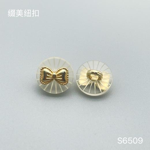 S6509(整包购买) 商品图0