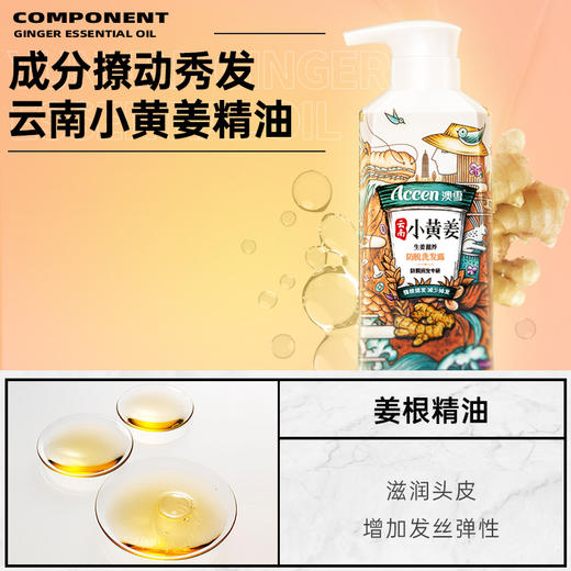 澳雪小黄姜洗发水500ml*2（防脱固发+丰盈蓬松） 商品图2