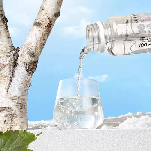 【BF】园有风100%桦树汁350ml 商品图3