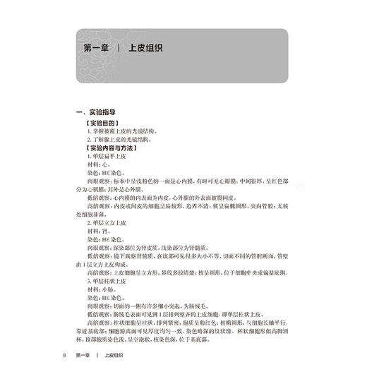 正常人体结构学习指导 十四五规划教材全国高等职业教育专科配套教材 庞刚 田洪艳 主编 供护理 助产专业用 人民卫生出版社 商品图4