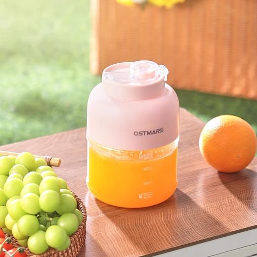 德国OSTMARS榨汁杯大容量多功能便携式双杯榨汁机一体多用吨吨桶 商品图3