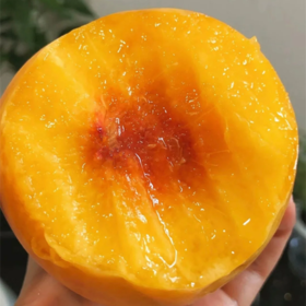 湖北锦绣黄桃 |山人优选（现摘顺丰发货，找到了新园子，可以继续啦！）