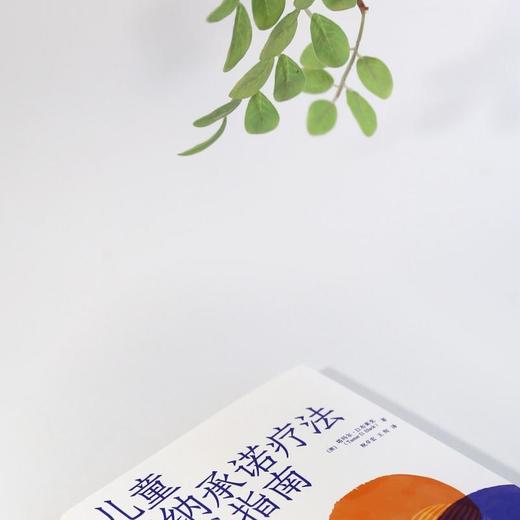 儿童接纳承诺疗法实践指南 商品图3