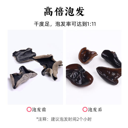 【杨博士甄选】派绅有机黑木耳80g*3袋 商品图4