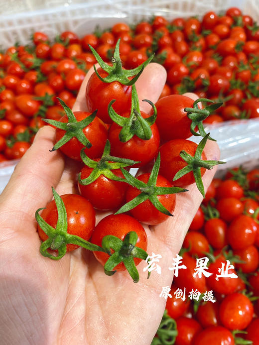 宏丰精选，红宝石千禧，新鲜到货不影响口感，活动价19.8元一斤 商品图1