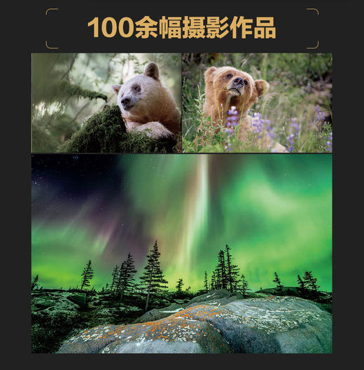 摄影的思考 提升影像创作能力的20个关键问题 摄影书籍摄影理论思维镜头语言审美提升摄影的灵感 商品图2