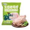 小鸡海蒂·太行山生态老母鸡1只装 1.15kg【LXGWZQ1.0】 商品缩略图0