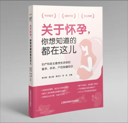 《关于怀孕，你想知道的都在这儿》 商品图0