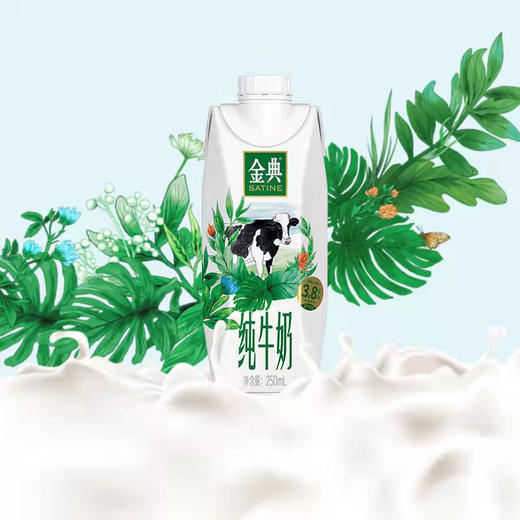 【自营】伊利金典纯牛奶梦幻盖250ml*10盒/箱 3.8g乳蛋白牛奶整箱送礼 商品图1
