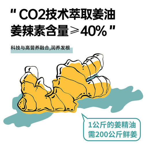 澳雪小黄姜洗发水500ml*2（防脱固发+控油去屑） 商品图2