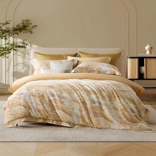 水星家纺御系列  60支长绒棉四件套 商品图1