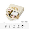 星期六通勤必备金色锁扣小巧手提包SSD521A02J 商品缩略图9