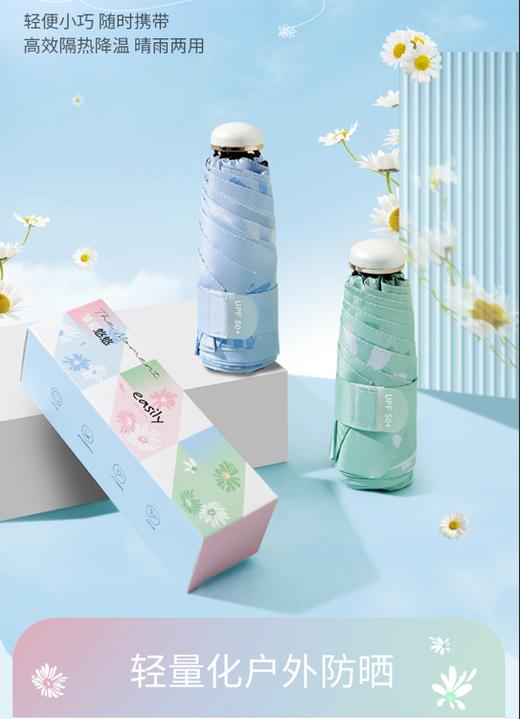 easily五折黑胶-雏菊夏日悠悠 商品图0