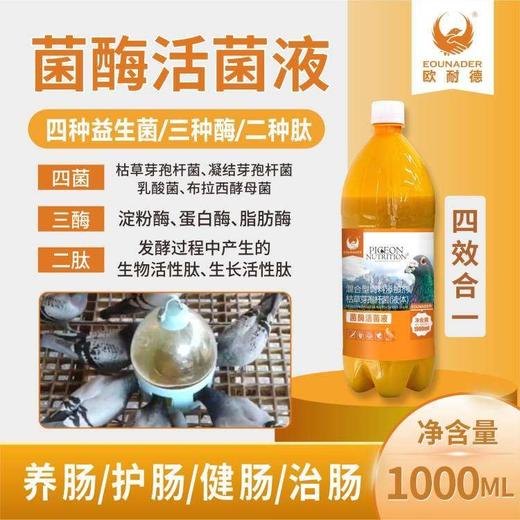 欧耐德鸽药【菌酶活菌液】赛信鸽养肠道粪便好活力好鸽子活菌营养液 商品图0