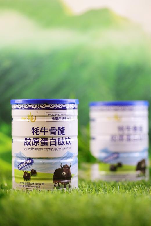 【色达】牦牛骨髓胶原蛋白肽饮 商品图2