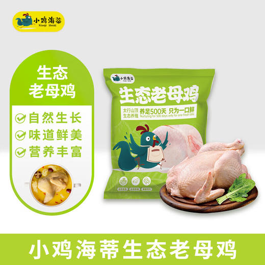 小鸡海蒂·太行山生态老母鸡1只装 1.15kg【LXGWZQ1.0】 商品图1