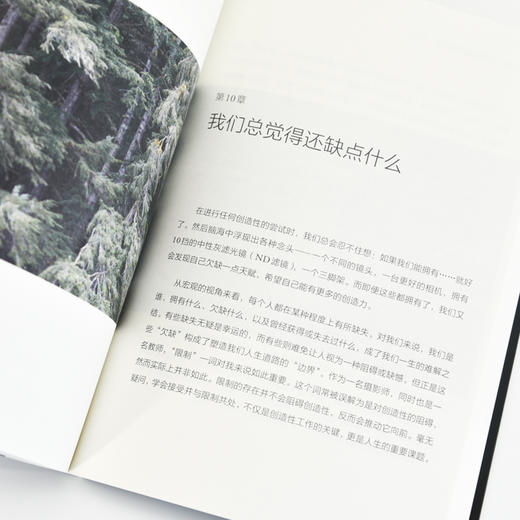 摄影的思考 提升影像创作能力的20个关键问题 摄影书籍摄影理论思维镜头语言审美提升摄影的灵感 商品图4