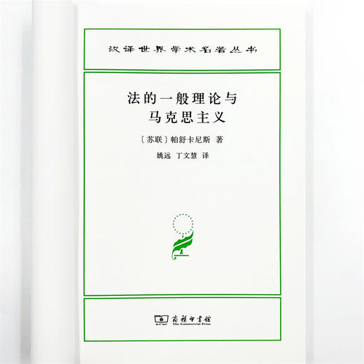 法的一般理论与马克思主义(汉译名著本22) 商品图4