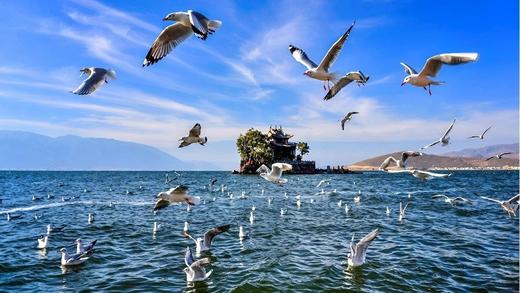 【云南大理港湾温泉基地】 商品图2