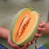 【果园直发】海南哈密瓜 香甜多汁果香浓郁 商品缩略图5