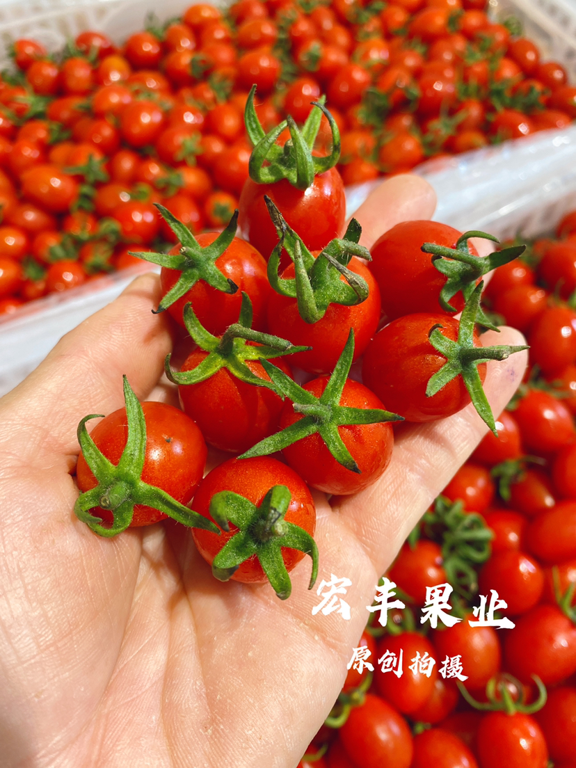 宏丰精选，红宝石千禧，新鲜到货不影响口感，活动价19.8元一斤