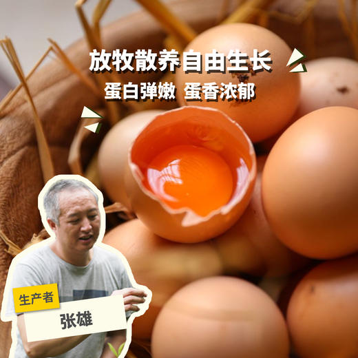 生态高原放牧鸡蛋（新鲜鸡蛋，长途运输可能会造成散黄，不在赔付范围） | 合作生产*Eco- egg | Coproduction 商品图0