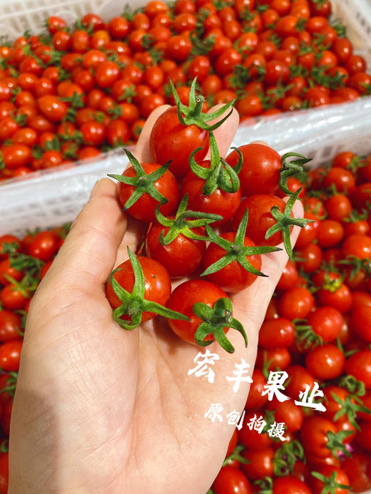 宏丰精选，红宝石千禧，新鲜到货不影响口感，活动价19.8元一斤 商品图2