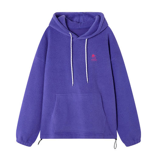 NPC潮牌CC系列仿羊羔毛连帽刺绣卫衣秋冬情侣加绒卫衣CC3AST40 商品图5