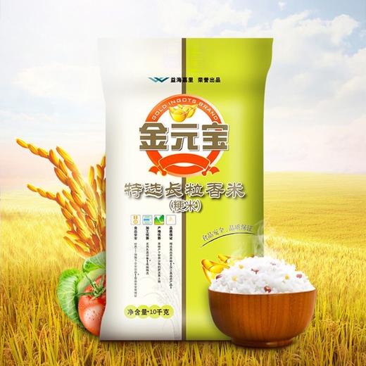 金元宝特选长粒香米（粳米） 10kg/袋（保质期到2026年6月9日） 商品图0
