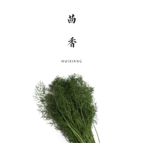 茴香     300g