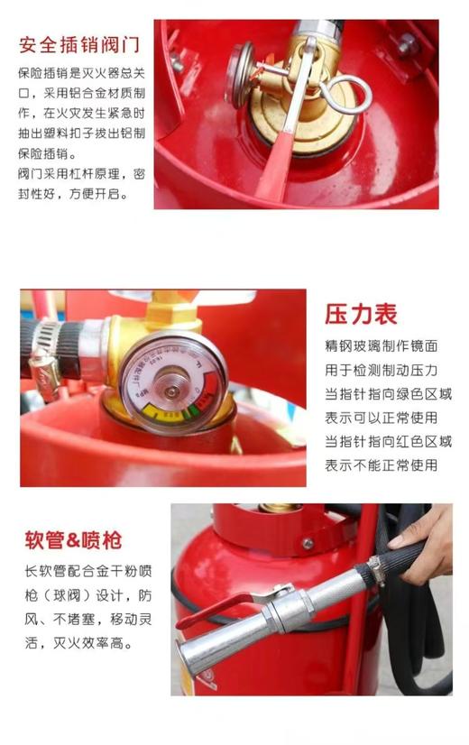 【JY】衡水湖手提式干粉灭火器 35kg 商品图2