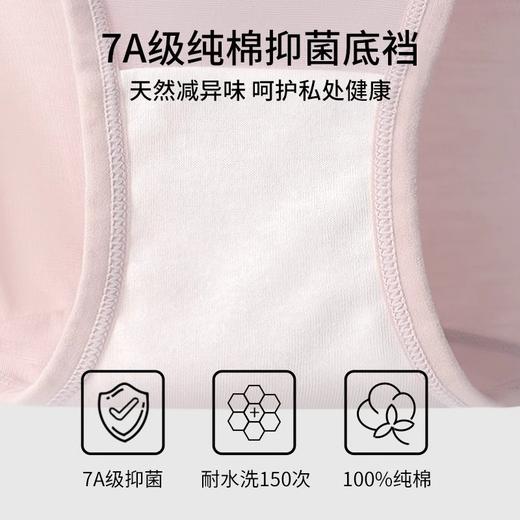 丁摩 【3条装】柔软高腰莫代尔内裤女加宽腰头纯棉裆部7A抑菌女士内裤5ZF-186021 商品图3