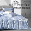 【达人专属】百丽丝家纺60S莱赛尔天丝棉四件套丝滑柔软法兰佩斯·蓝 商品缩略图2