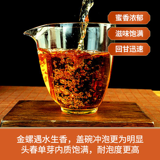 新品上新【滇红金螺】2025年春茶！凤庆滇红茶特级红茶浓香型黄金螺云南古树新芽春茶蜜香200克/罐 商品图2