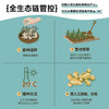 澳雪小黄姜洗发水500ml*2（防脱固发+控油去屑） 商品缩略图8