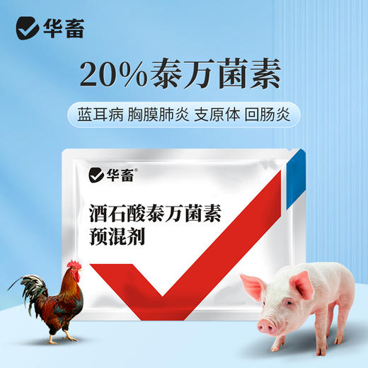 华畜兽药 20％酒石酸泰万菌素预混剂 蓝耳病 回肠炎 兽用支原体感染 鼻炎呼吸道 商品图0