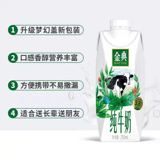 【自营】伊利金典纯牛奶梦幻盖250ml*10盒/箱 3.8g乳蛋白牛奶整箱送礼 商品图3