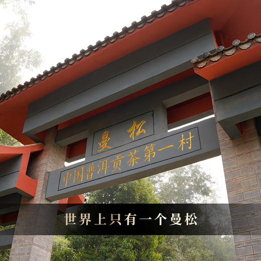 2025年头春【曼松单株】【月底高货放漏冲刺】曼松王子山古树单株“茶界象牙塔的顶端”每一片叶子都来自24号茶农：李学平，357克/饼 茶友必囤！！ 商品图7