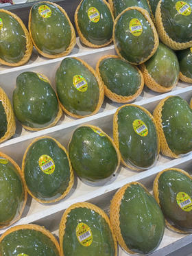 预定团9.9元2斤攀枝花凯特芒果（超重按4.95/斤补差价）7.29-30提货