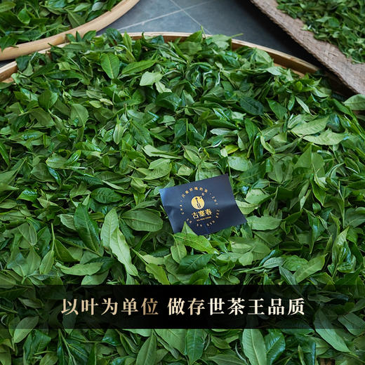 2025年头春【曼松单株】【月底高货放漏冲刺】曼松王子山古树单株“茶界象牙塔的顶端”每一片叶子都来自24号茶农：李学平，357克/饼 茶友必囤！！ 商品图1