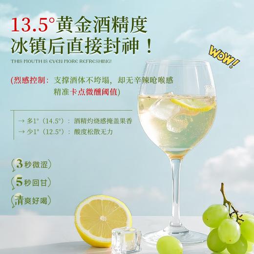 【酿酒大师亲酿作】路易拉菲云端葡园金色殿堂干白葡萄酒  清爽柑橘香气13.5%vol 商品图2