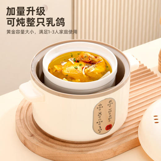 栢士德微电脑隔水电炖锅BSD-WG108【LXGWZQ1.0】 商品图1
