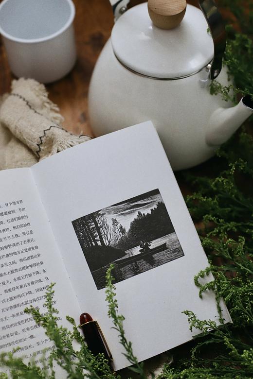 《梭罗文集：瓦尔登湖+四季之歌+夜色和月光》（全3册） 商品图6