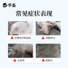 华畜兽药 20％酒石酸泰万菌素预混剂 蓝耳病 回肠炎 兽用支原体感染 鼻炎呼吸道 商品缩略图1