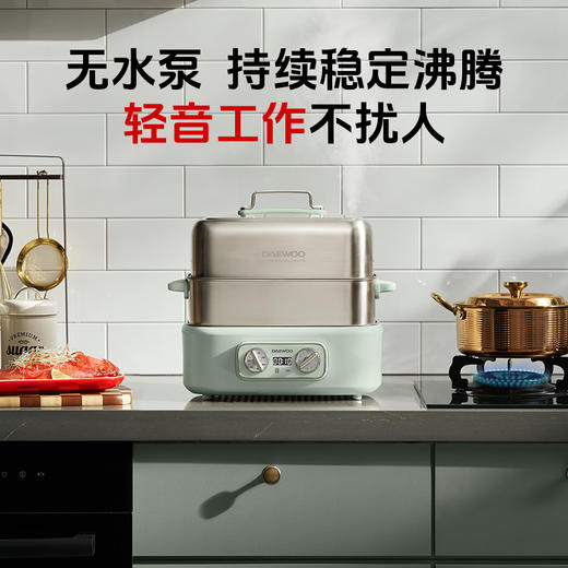 大宇新品电蒸锅多功能家用蒸煮一体锅三层大容量S27 商品图0