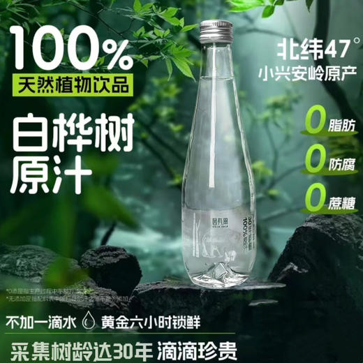 【BF】园有风桦树汁310ml*10瓶 礼盒装 商品图1