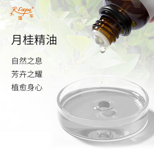 月桂精油 奥地利单方精油原料批发芳疗护理香氛调香 大篷车精油 商品图1