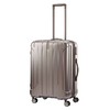 AY8*55002 新秀丽可扩展四轮拉杆箱 银色-66/24 商品缩略图0
